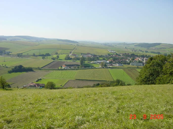 Unser Vereinseigener Hang in Asperhofen